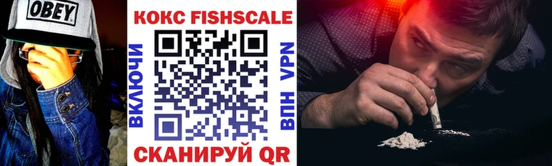где найти   Елабуга  COCAIN FishScale 