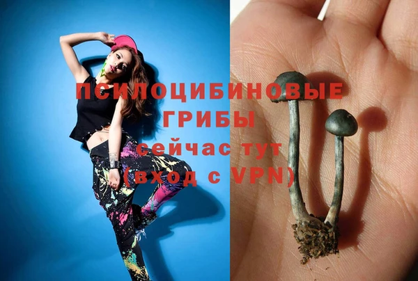 MDMA Premium VHQ Володарск
