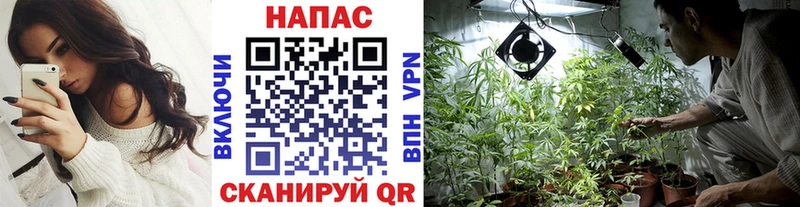 Конопля OG Kush  Елабуга 